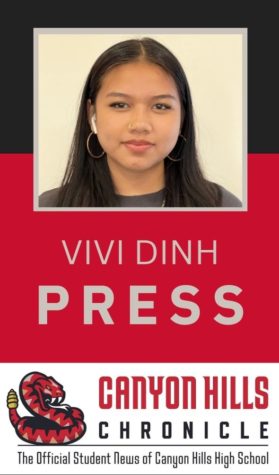 Photo of Vivi Dinh