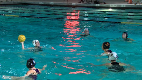 canyon hills water polo womens