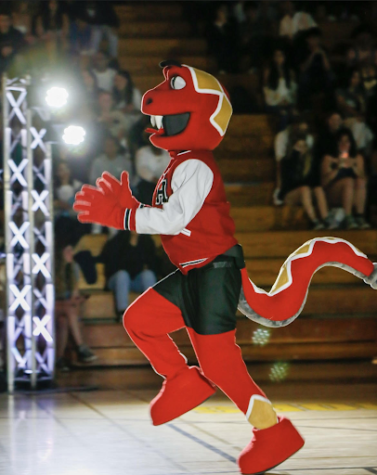 The first ever appearance of the mascot during the last pep rally of the school year