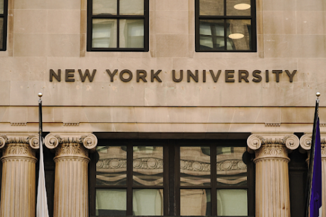 building at nyu