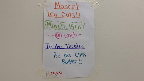 mascot tryouts poster