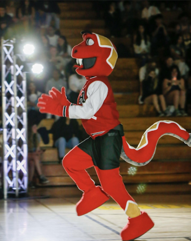 Alum named NBA Mascot of the Year