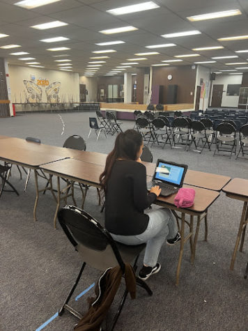 student studies in library