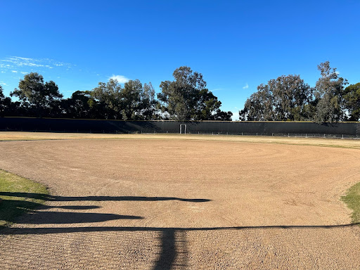 Our Rattlers Softball field after weekend of field prep.
