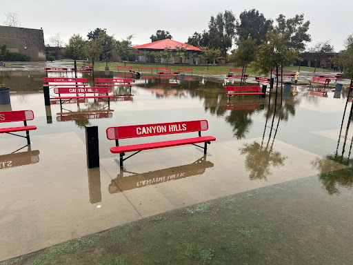Due to the excessive rain , the drains are not able to get rid of massive quantities of water at one leaving the benches and the front of the 1000 building to be inaccessible to students and staff members.